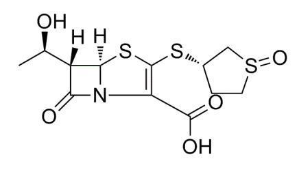 sulopenem123 sulopenem123