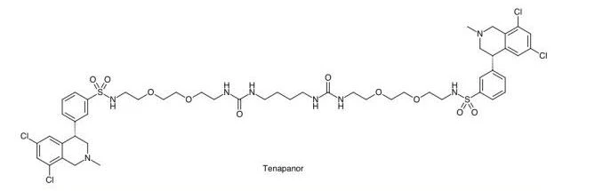 tenapanor tenapanor