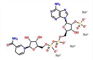 베타-NADPH 테트라나트륨 소금 NADPH CAS 2646-71-1